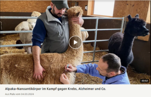 Video über Alpaka-Nanoantikörper gegen Krebs