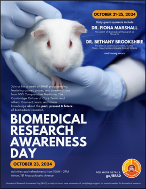 Flyer für Biomedical Research Awareness Day 2024