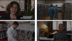 Vier Bilder aus einem RTS-Filmbericht über Experimente mit Ratten an der Universität Genf.