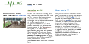 Newsletterbeitrag zur Übertragung des Wesselbron Virus (WSLV)