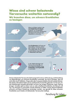 Flyer schwer belastende Tierversuche (Schweregrad 3)