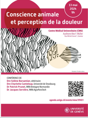 Flyer zur Veranstaltung zum Thema Bewusstsein und Schmerzempfinden beim Tier